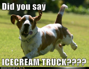 funny-dog-pictures-did-you-say-icecream-truck.png