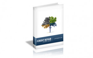 Click To Download: The Credit Repair Insider Guide