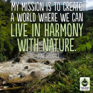 Jane Goodall quote