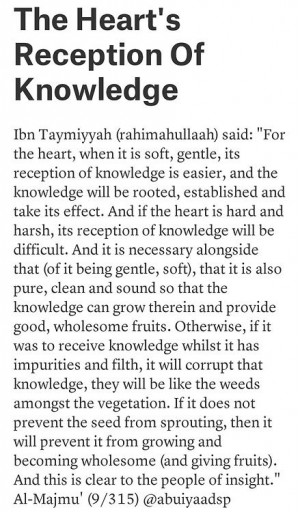 Ibn Taymiyyah