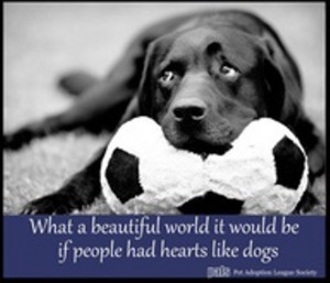 If people had hearts like dogs