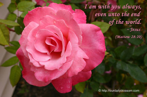 Bible Verse – Matthew 28:20