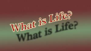 Best Quotes And Poetry