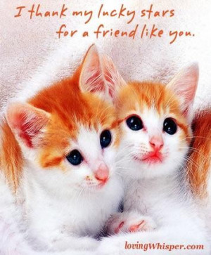 thank my lucky stars for a friend like you friendship quote