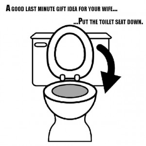 toilet seat gift idea