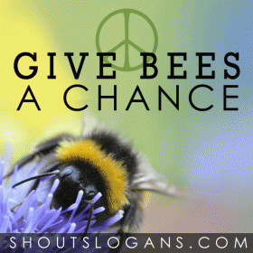 slogans and sayings tagged bees quotes bees sayings bees slogans ...