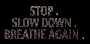 Wisdom Wednesday: Stop. Slow Down. Breathe Again.