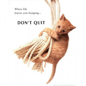 Cat Hang In There Motivational Poster