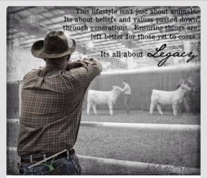 ... Quotes, Show Cattle Quotes, Country Lifestyle Quotes, Cows