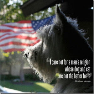 Quotes For the Love of Your Pets [20 Photos]