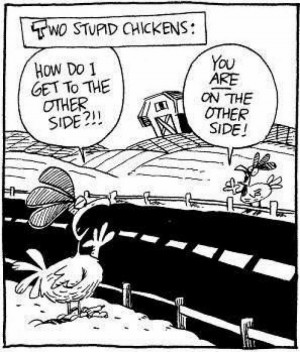 Stupid Chickens otherside understanding Very Funny Humor Cartoon Jokes