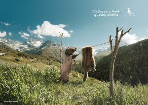 Very Funny And Creative Ads Using Animals (7)