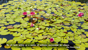 Artists > Scarebaby Design > Images > Water Lilies With Serenity Quote