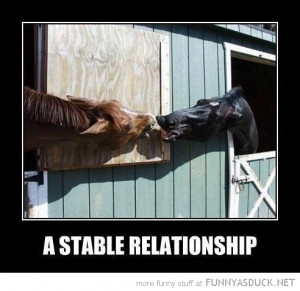 horses animals kissing stable relationship funny pics pictures pic ...