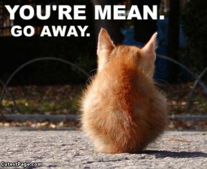 DontStop yet, check out another cute picture.