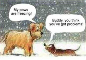 Funny Christmas Pictures – 30 Pics