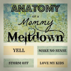 ... .blogspot.com/2013/05/anatomy-of-mini-mommy-meltdown.html