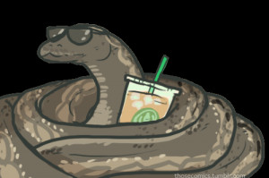 funny-anaconda-white-girls