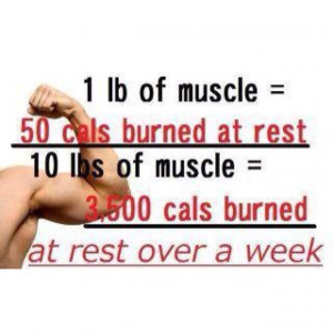 Muscles burns FAT!!!