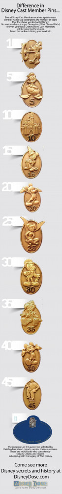 Disney Cast Member service pins awards. Be sure to check them out the ...