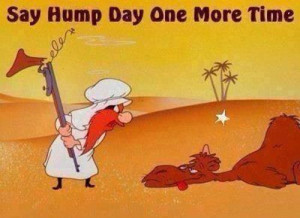 hump day funny quotes funny quotes days of the week humor hump day ...
