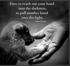 Stop animal abuse More