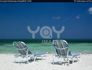 Funny Quotes Contact Dmca