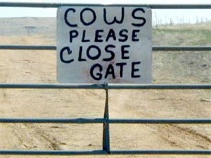 Just a reminder for our four legged friends to close the gate behind ...