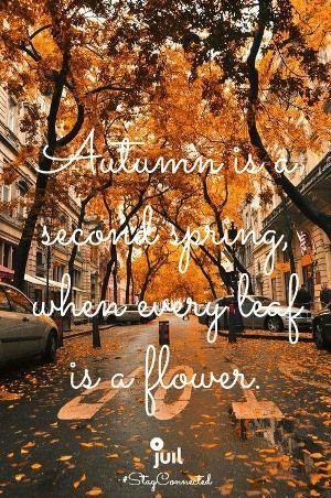 Autumn is a second Spring, when every leaf is a flower. #StayConnected ...