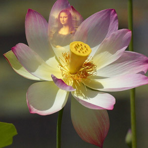Lotus Flower Photo Effect Generator. Upload your photo to generate ...