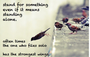 Fly Solo #birds #quotes #inspiration