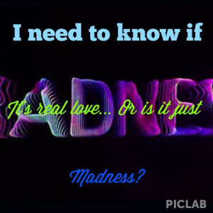 Madness - Muse