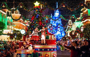 Mickey’s Very Merry Christmas Party 2014
