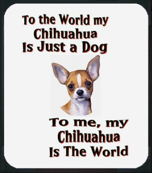 My chihuahuas ARE the world to me!
