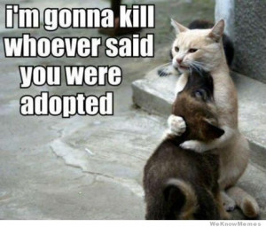 gonna kill whoever said you were adopted – cuteness overload!
