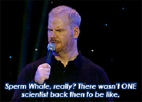 ... Pale Pale Man More Than Words Can Express Jim Gaffigan animated GIF