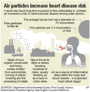 Pollution puts women's hearts at risk