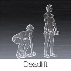 Funny Quotes Contact Dmca...