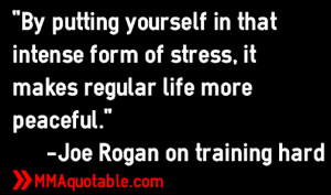 ... more peaceful joe rogan on motivation for working out training hard