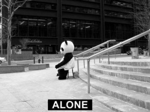 alone, b&w, black and white, cute, lost, love, panda, quote, quotes ...