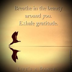 healing thru breathing more physical therapy quotes care physical 1