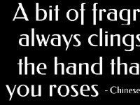 Bit Of Fragrance [sent 16 times]