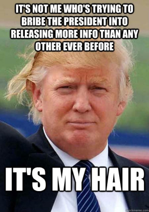 16 Donald Trump Hair Memes So Funny You’ll Actually Be Grateful He ...