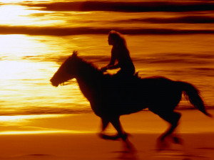 Sunset Ride California Coast - animals wallpaper image with horses