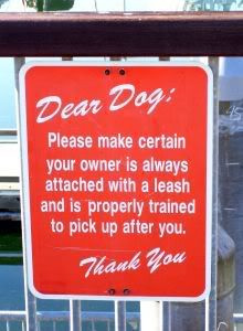 dear dog dog quote