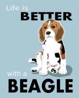 Pinned by Elaine Hernandez