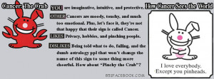 Happy Bunny Cancer Zodiac Astrology Birthday Sign Picture