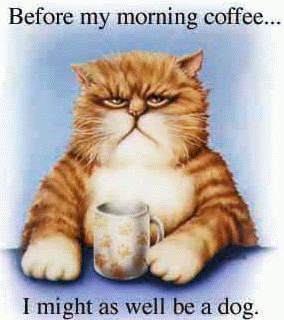 Before my morning coffee, I might as well be a dog !!