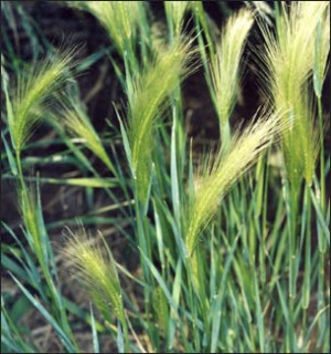 Funny Quotes Contact Dmca