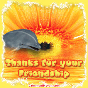 Dolphin Friendship picture for facebook